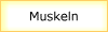Muskeln