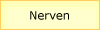 Nerven