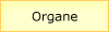 Organe